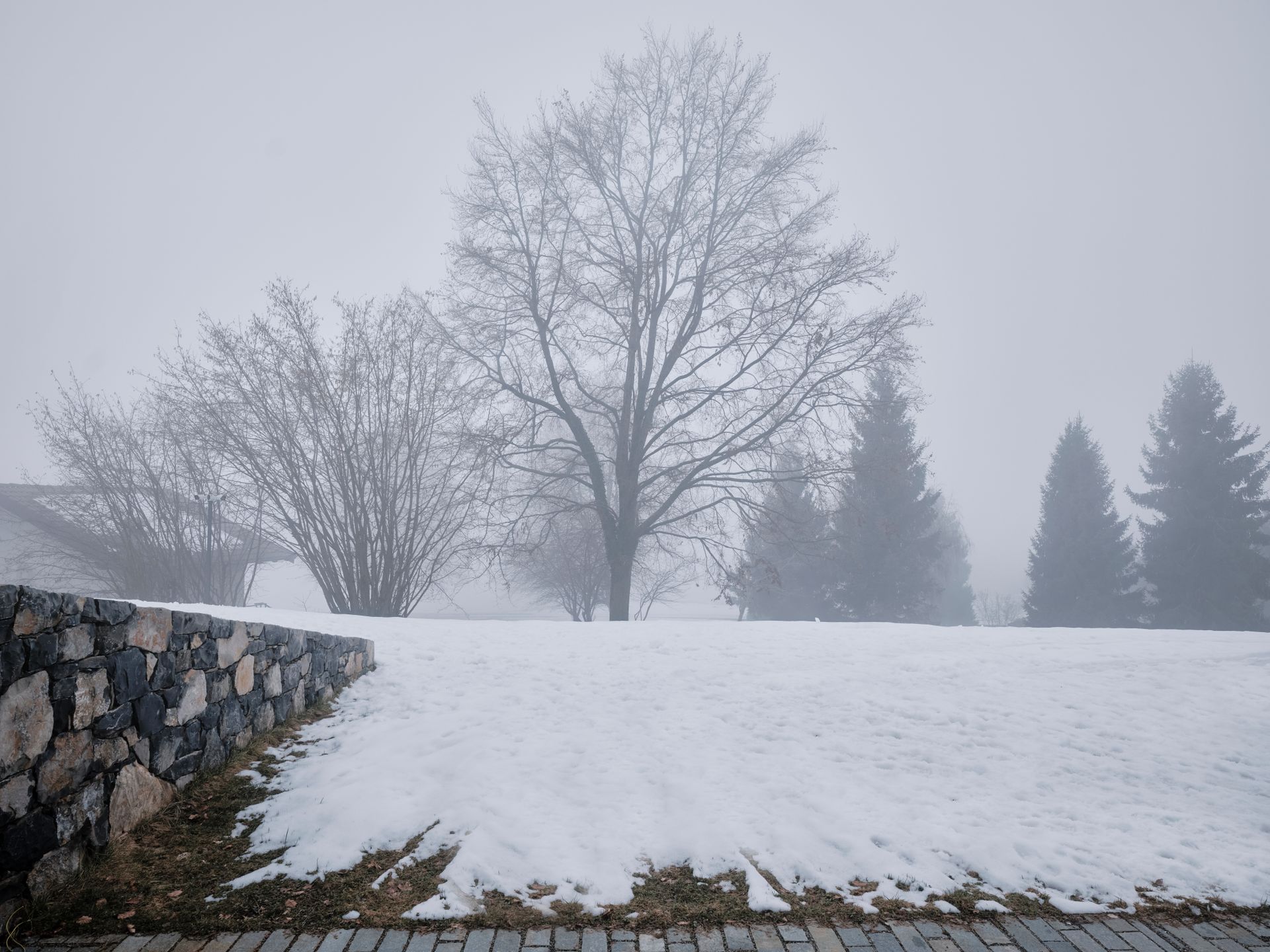 officina magisafi architettura