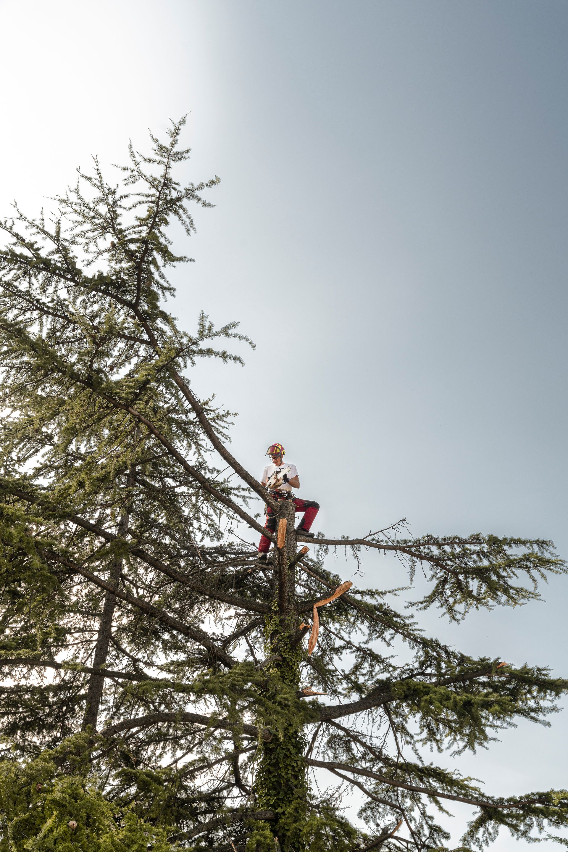 Reportage by Luca Argenton construction site strip out, tree cutting Lake Garda, Brescia, Bergamo, Milan. Officina Magisafi architecture design - photo 2